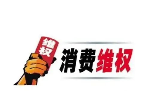 国内消费市场向阳而生